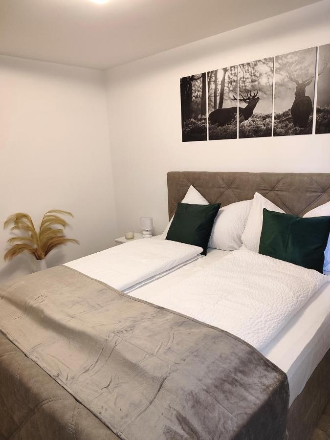 Modern Mountain Apartment - Free Parking & Sauna Обертауерн Екстер'єр фото