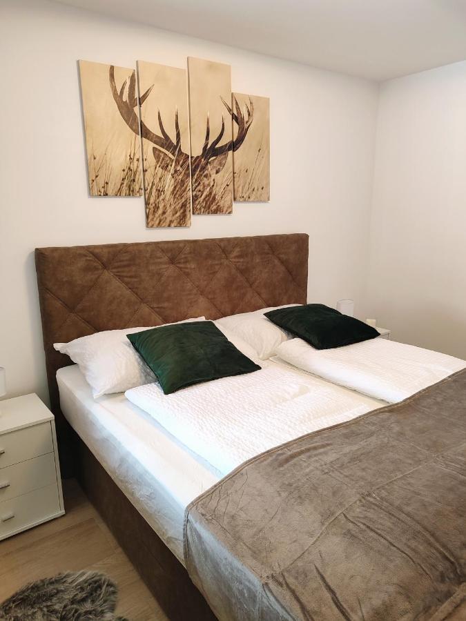 Modern Mountain Apartment - Free Parking & Sauna Обертауерн Екстер'єр фото